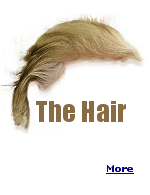 Is it a comb over? Absolutely. But what is Trump combing over? He appears to have a full head of hair.